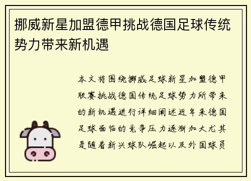 挪威新星加盟德甲挑战德国足球传统势力带来新机遇